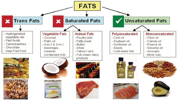 saturayed-fat